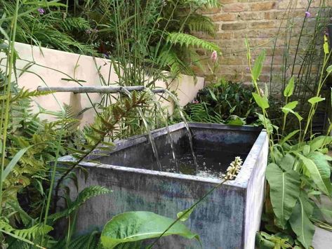 Garden Pond Rectangular, Rectangular Water Feature, Water Tank Planter, Water Trough Pond, Galvanized Water Tank, Suburban Garden, Water Spouts, Brick Planter, Mini Pond