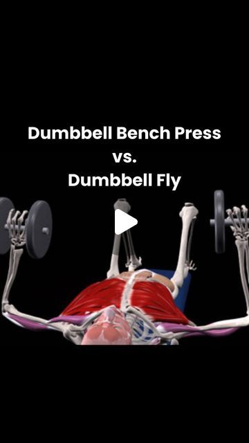 Dumbbell Bench Press, Isolation Exercises, Dumbbell Fly, Chest Fly, Chest Muscles, Building Muscle, Popular Workouts, Chest Workouts, Bench Press