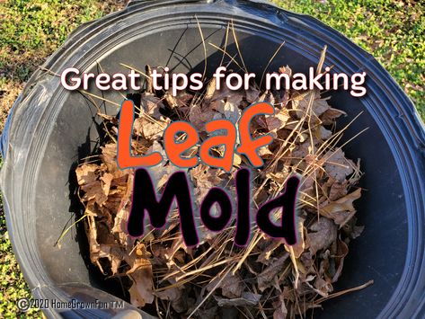 Leaf Compost, Leaf Mold, Dandelion Leaves, Diy Leaves, Fall Garden Vegetables, Gardening Techniques, Garden Compost, Home Grown, Organic Matter