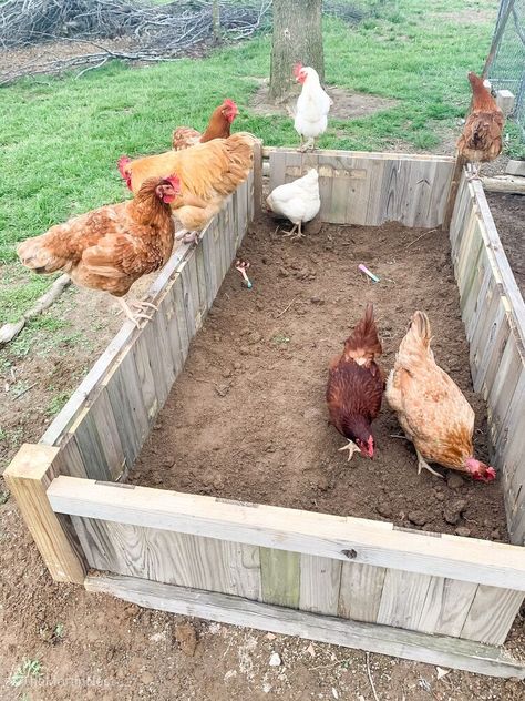 Looking for a way to repurpose those old picket fence panels? A DIY raised planter bed is a a great way to upcycle them!Maybe you've taken down an old fence or scored a lot of free wood on a swap site. Either way, this well weathered wood is the perfect way to reduce waste and reuse the wood for a raised planter bed. A few years ago my parents took down an old fence, and knowing my project hoarding tendencies they gifted them to me for something creative.One of the things we were in… Repurposed Raised Garden Beds Upcycling, Repurpose Fence Panels, Old Picket Fence, Diy Raised Planter, Cedar Fence Pickets, Picket Fence Panels, Yard Inspiration, Fence Pickets, Raised Planter Beds