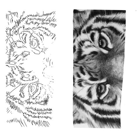 Tiger Eyes Tattoo Stencil, Eyes Tattoo Stencil, Eye Tattoo Stencil, Tiger Eye Tattoo, Tiger Eyes Tattoo, Chest Tattoo Stencils, Tattoo Tiger, Eyes Tattoo, Stencil Outline