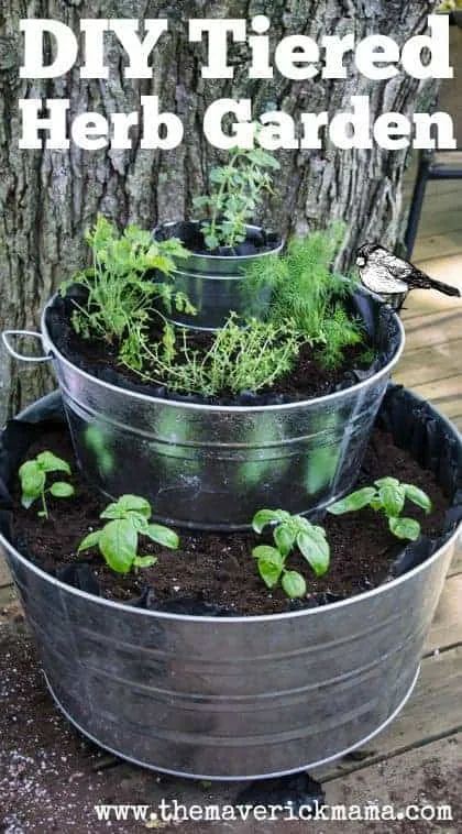 Plantarea Legumelor, Diy Container Gardening, Container Herb Garden, نباتات منزلية, Garden Types, Herbs Indoors, Organic Gardening Tips, Garden Care, Easy Garden