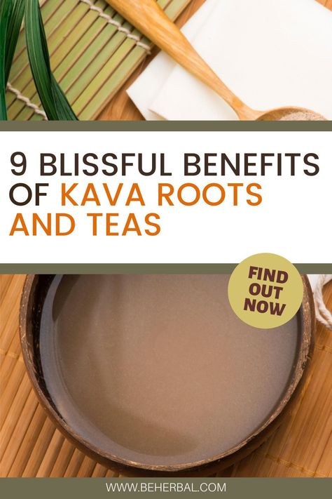 Kava Root Benefits, Kava Kava Benefits, Kava Kava, Captain Cook, Urinary Tract, Natural Health Remedies, Herbal Supplements, Vanuatu, Health Remedies