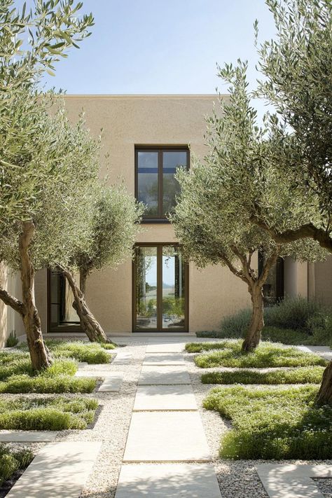 House Inner Courtyard, Courtyard Entrance Ideas, Modern Mediterranean Landscape, Olive Tree Backyard, French Modern House, Modern Courtyard Design, Adobe Exterior, Mediterranean Architecture Modern, Mediterranean Front Yard