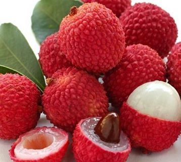 lichi...delicious Litchi Fruit, Lychee Tree, Lychee Fruit, Fruits Photos, Fruit Photography, Fruit Seeds, Beautiful Fruits, Tree Seeds, Fruit Plants