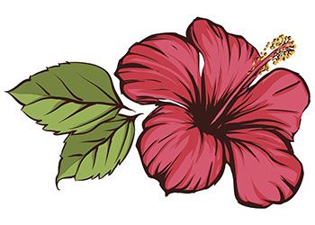 Hibiscus flower/ flor amapola Hibiscus Flower Drawing, Hibiscus Flower Tattoos, Flower Hawaii, Hibiscus Tattoo, Pencil Drawings Of Flowers, Beautiful Flower Drawings, Flower Drawing Design, Flower Art Drawing, Pola Sulam