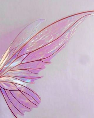 Wings Aesthetics, Fairy Wings Aesthetic, Pink Fairy Wings, Pink Fairy, Fairy Aesthetic, Fairy Wings, Kinds Of Music, Drawing Reference, Warm Colors