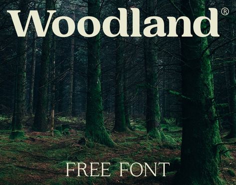 Check out this @Behance project: “Woodland - Free Serif Font” https://www.behance.net/gallery/71764735/Woodland-Free-Serif-Font Woodland Font, Nature Font, Graphic Design University, Dingbat Fonts, Forest Retreat, Serif Logo, Journal Fonts, Goose Creek, Groovy Font