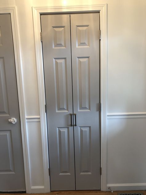 Closet Door Ideas French Doors, Small French Doors Closet, Small Bifold Closet Doors, Small Closet Door Ideas Hallways, Narrow French Doors Closet, Linen Closet Doors Bathroom, Bifold Door Into French Door, Small Hallway Closet Door Ideas, Living Room Closet Door Ideas