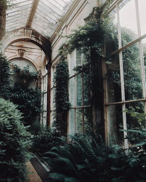 Grey Academia Aesthetic, Dark Green Academia, Green Academia Aesthetic, Book Core, Victorian Greenhouses, Green Academia, Academia Aesthetics, Dark Green Aesthetic, Slytherin Aesthetic