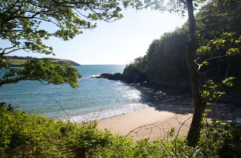 Bosahan Cove - The Helford Estuary, Dog Friendly Beach Helford Cornwall, Cornwall Summer, Trip Goals, Plant Witch, Things To Do In Cornwall, Places In Cornwall, Cornwall Beach, Coastal Pictures, Devon Cornwall