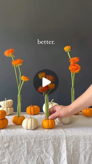 Tableshoppe Co. on Instagram: "These mini pumpkins had no idea they’d be working overtime when I bought them 😂 Save for inspo!

From taper holders to mini flower arrangements, I’m putting these pumpkins to work! I used my base vases from @shopbasevase to add some orange ranunculus to my mini pumpkins. 

Just cut out the top of the pumpkin and place the base vase. Fill it up with water and add your favorite stems. It was so easy and makes such a statement. Since you are carving the pumpkins they will start to go bad at some point so keep that in mind if you want to do this for a dinner party or event. These are on day 4 of being carved. 

Let me know what you think 🎃 

#pumpkinseason #pumpkin #floraldesign #floralarrangement #tablescape #tablescapes #tablescapestyling #fallflowers #autumn Pumpkin Flower Arrangements, Mini Flower Arrangements, Flower Pumpkins, Orange Ranunculus, Taper Holders, Working Overtime, Pumpkin Flower, Pumpkin Seasoning, Mini Pumpkins