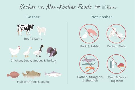 Kosher Food 101: the Basics of Which Foods Are Kosher Kosher Food List, Matzah Ball Soup, Hippie Commune, Kosher Diet, Kosher Kitchen, Kosher Food, Manic Pixie, Kitchen Rules, Turkey Meat