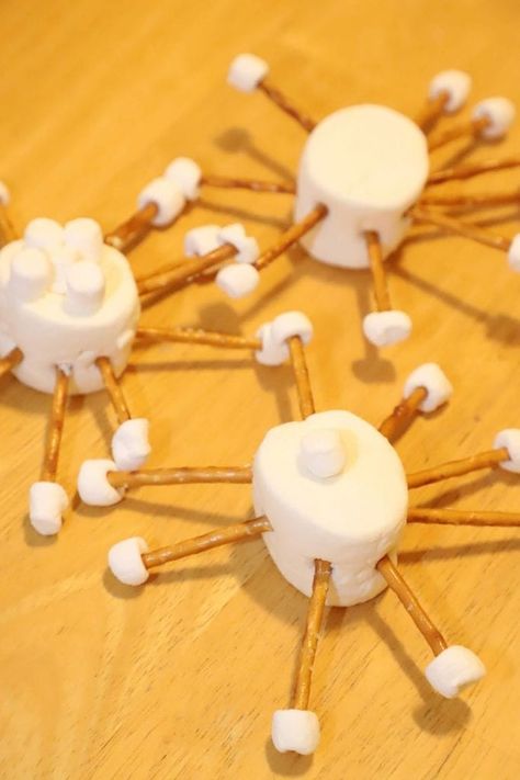 Marshmallow Snowflake Craft -Snow Day Fun! Marshmallow Snowflake, Night Library, Kids Church Christmas, Preschool January, Snow Recipe, Snow Ice Cream, Marshmallow Snowman, Stella Rose, Snowflake Craft