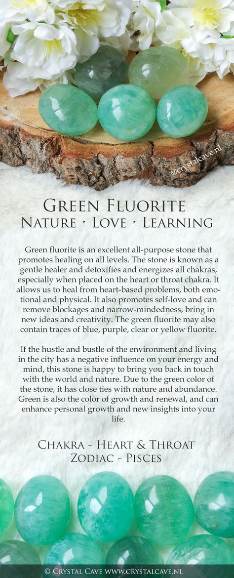 Green Fluorite Stone / Green Fluorite Gemstone / Green Fluorite Crystal / Green Fluorite Mineral / Green Fluorite Raw / Gemstone Nature Love Learning / Heart Throat Chakra Stone / Zodiac Sign Pisces / Green Fluorite Birthstone / Green Fluorite Properties / Green Fluorite Operation / Green Fluorite Syrup Buy Green Fluorite Syrup / Green Fluorite Jewelry / Green Fluorite Bracelet / Green Fluorite Esoteric / Green Fluorite Stones / Green Fluorite Jewelry Pendant Necklace Health Pendant Bracelet Roc Fluorite Properties, Fluorite Jewelry, Green Fluorite Crystal, Gemstones Chart, Crystal Healing Chart, Fluorite Gemstone, Mineral Green, Fluorite Bracelet, Fluorite Stone