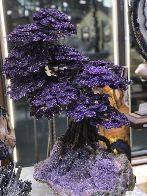 This amethyst tree. Amethyst Decor, Closing Deals, Pallet Crates, Gemstone Tree, Store Closing, Crystal Aesthetic, Lucky Stone, Crystal Tree, Amethyst Cluster