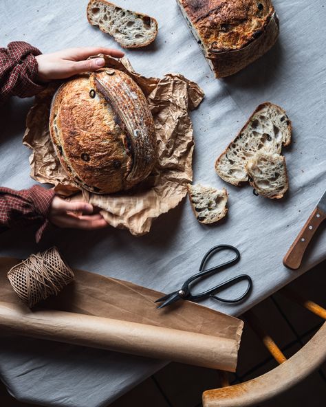 Flatlay of olive sourdough loaves, rustic styling Einkorn Sourdough, Bakery Photography, Baking Photography, Kitchen Studio, Bread Buns, Bread Bun, Photography Food, My Days, Recipe Images