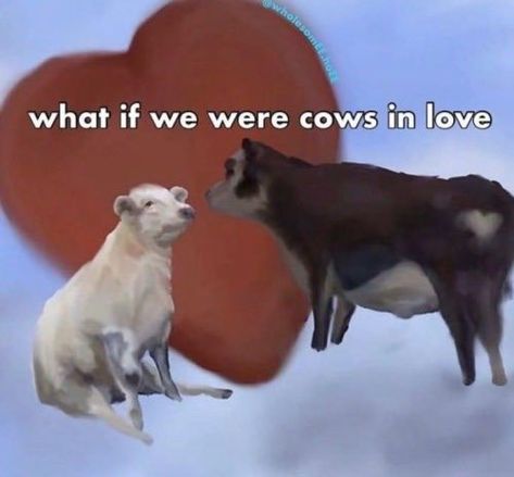 Feral Reaction Image Love, Cows In Love, Monkey Monkey, Dope Cartoons, Reaction Images, Reaction Memes, Meme Lord, Reaction Pics, Wholesome Memes