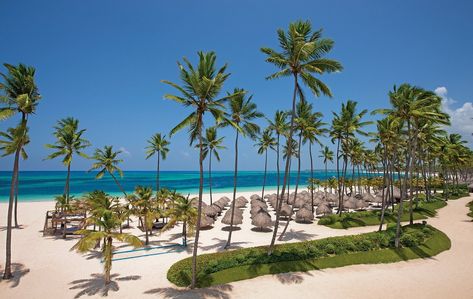 DREAMS ROYAL BEACH PUNTA CANA - Updated 2024 Prices & Resort (All-Inclusive) Reviews (Bavaro, Dominican Republic) Dreams Royal Beach Punta Cana, All Inclusive Resorts, Punta Cana, Fitness Center, Dominican Republic, Vacation Spots, Ocean View, All Inclusive, Snorkeling