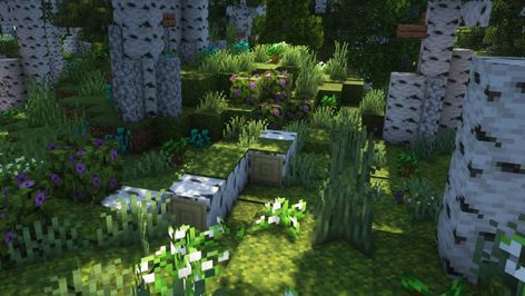 Birch Tree Minecraft, Minecraft Birch Forest, Minecraft Forest, Minecraft Terrain, Random Decorations, City Minecraft, Minecraft Tree, Path Ideas, Birch Forest