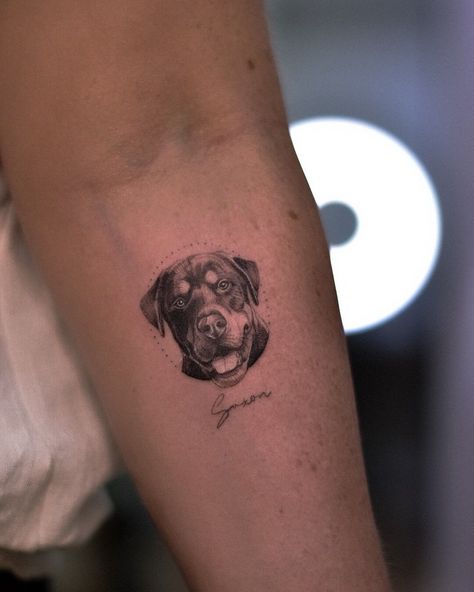 Dog Tattoo Rottweiler, Simple Rottweiler Tattoo, Realistic Pet Tattoos, Micro Dog Tattoo, Realism Dog Tattoo, Small Pet Portrait Tattoo, Rottie Tattoo, Dog Tattoo Realism, Small Dog Portrait Tattoo