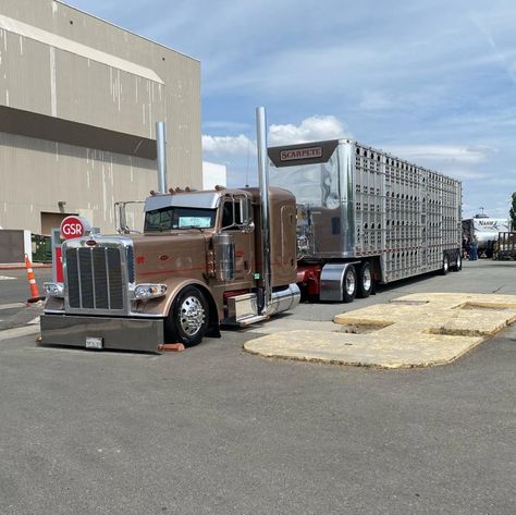 Cattle Trucks, Peterbilt 389, Peterbilt Trucks, Big Rig Trucks, Semi Truck, Large Cars, Big Rig, Peterbilt, Semi Trucks