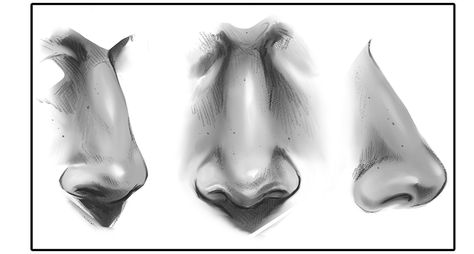 How to Draw a Nose | Art Rocket Manga Nose, Nose Painting, Cartoon Noses, Pointy Nose, Anime Nose, Different Nose Shapes, Tree Drawings Pencil, Reference Photos For Artists, Drawing Tutorial Face