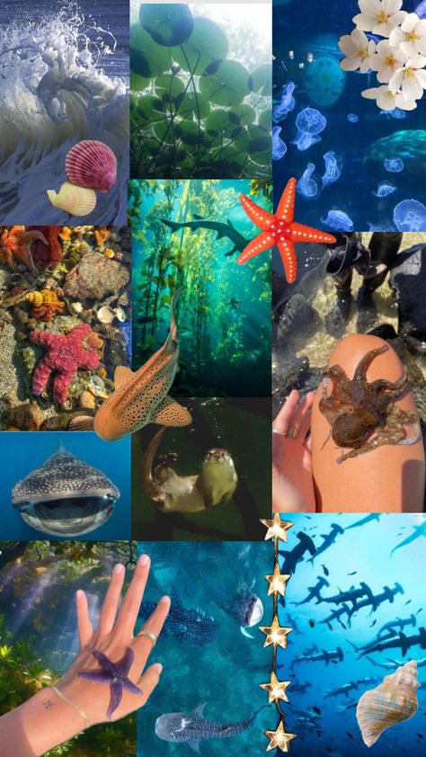 environmental science Environmental Science Major, Environmental Scientist, Marine Biologist, Marine Biology, Environmental Science, Marine Life, Science, Pattern