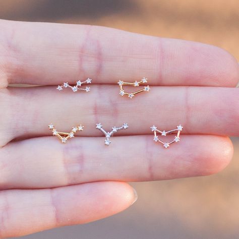 Celestial Birthday, Scorpio Capricorn, Libra Aries, Virgo Scorpio, Scorpio And Capricorn, Constellation Earrings, Taurus Constellation, Virgo And Scorpio, Aries And Leo