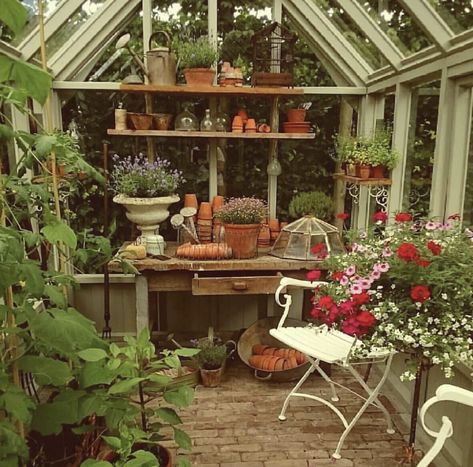 Garden Shed Interiors, Greenhouse Shed, Greenhouse Interiors, Home Greenhouse, Cottage Aesthetic, Backyard Greenhouse, Rural Living, Small Greenhouse, Greenhouse Kit