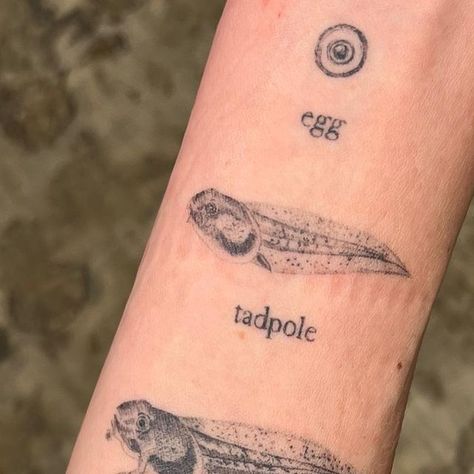 Brooklyn Tattoo, Frog Tattoos, Scientific Illustration, Nature Tattoos, Fine Line Tattoos, 5 Months, Blackwork, My Favorite, Healing