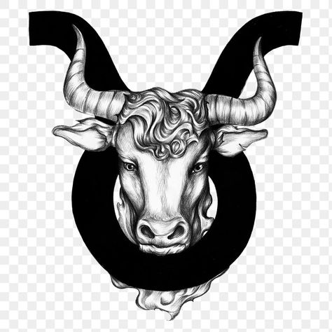 Taurus Horns, About Leo Zodiac, Taurus Logo, Zodiac Leo Art, Leo Art, Taurus Symbols, Taurus Art, Taurus Bull, Bull Art