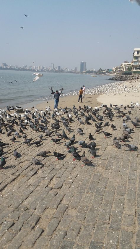 Mumbai Beach Aesthetic, Bandra Mumbai Snapchat, Mumbai Food Snap, Juhu Beach Mumbai Snapchat Story, Juhu Beach Mumbai Snapchat, Mumbai Snapchat Stories, Marine Drive Mumbai Snapchat, Mumbai City Snapchat, Mumbai Snapchat