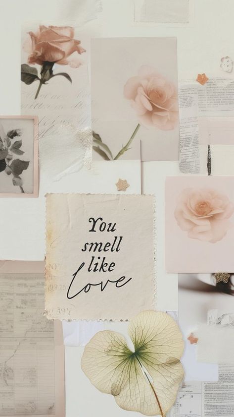 You smell like love quote  mobile phone wallpaper template | premium image by rawpixel.com / Boom You Smell Like Love, Beige Moodboard, Moodboard Rose, Phone Wallpaper Template, Collage Idea, Wallpaper Template, Mobile Phone Wallpaper, Rose Sketch, Photo Collage Design