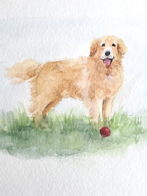 Golden Retriever Watercolor Easy, Watercolor Golden Retriever, Golden Retriever Water, Watercolour Dogs, Golden Retriever Drawing, Golden Watercolor, Golden Retriever Watercolor, Golden Retriever Painting, Painting Dogs