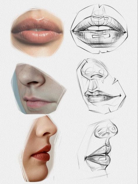 b41486b565725e5bcc4a681048fe6664 Realistic and sketch images of lips and noses showcasing different drawing techniques and facial feature studies. | Sky Rye Design Face Features Drawing, Realistic Face Drawing, Sketch Images, Perspective Drawing Lessons, 얼굴 드로잉, Art Photography Portrait, Nose Drawing, Human Anatomy Drawing, 얼굴 그리기