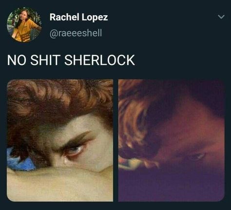 Sherlock Holmes Benedict Cumberbatch Memes, Sherlock Funny Pictures, Sherlock Memes Funny, Johnlock Aesthetic, Sherlock Holmes Pfp, Johnlock Wallpaper, Benedict Cumberbatch Aesthetic, Sherlock Holmes Fanart, Sherlock Bbc Funny