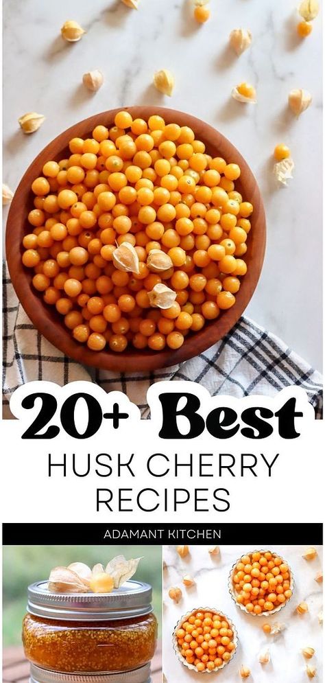 Husk cherry recipes are a great way to enjoy these unique fruits, which taste like pineapple with hints of grape and tomato. From sweet treats like ground cherry pie and jam to savory dishes like salsa and hot sauce, plus drinks like ground cherry wine, this collection has it all. Find more healthy drinks recipes, healthy summer recipes, easy summer recipes, and Healthy Baking Recipes at adamantkitchen.com. Ground Cherry Recipe, Ground Cherry Jam Recipes, Husk Cherry Recipes, Ground Cherry Jam, Baking With Grapes, Canned Sour Cherry Recipes, Ground Cherry Pie, Ground Cherry Recipes, Summer Recipes Easy