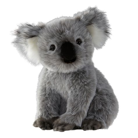 Realistic Stuffed Koala 16 Inch Signature Plush by Aurora at Stuffed Safari Baby Plushies, Koala Stuffed Animal, Koala Illustration, Giant Teddy Bear, Giant Teddy, Toys Uk, Bear Birthday, Baby 2, Cute Stuffed Animals