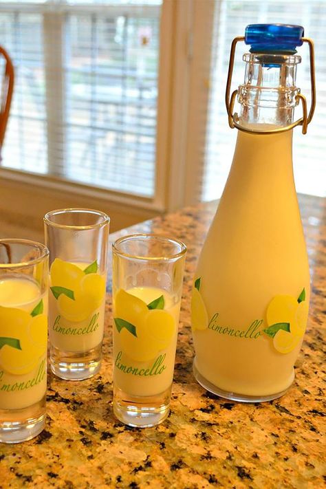 Kahlua Recipes, Irish Cream Recipe, Making Limoncello, Limoncello Recipe, Christmas Drinks Recipes, Moonshine Recipes, Liqueurs Recipes, Protein Nutrition, Vanilla Vodka