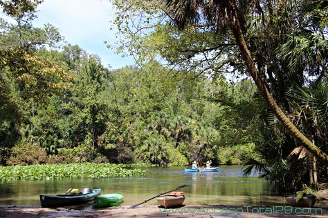 Wekiwa Springs State Park Central Florida, State Park, Theme Park, Family Friends, State Parks, Kayaking, Falling In Love, Orlando, Springs