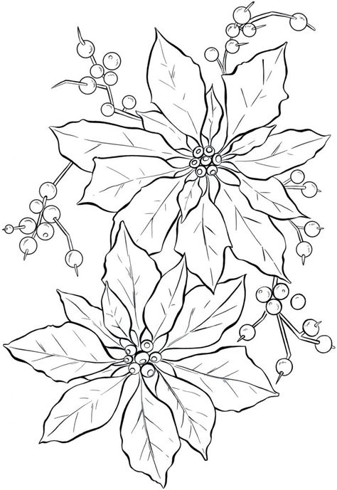 White Drawing, Graphics Fairy, Poinsettia Flower, Christmas Poinsettia, Digi Stamp, Flower Coloring Pages, Christmas Drawing, Black And White Drawing, Christmas Coloring Pages