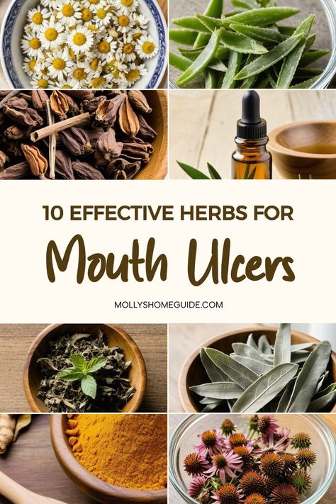 Explore the power of natural remedies for mouth ulcers! Whether you prefer herbal remedies, essential oils, or homeopathic medicines, there are plenty of effective options to help heal ulcers. Consider using clove oil, turmeric, aloe vera, or even licorice root as medicinal herbs. Calendula tincture and myrrh can also help reduce inflammation. Don't forget about coconut oil or cinnamon's benefits for oral care. Mouth Ulcer Remedies, Ulcer Remedies, Throat Ulcers, Calendula Tincture, Ulcer Remedies Mouth, Echinacea Tea, Herbal Remedies Recipes, Astrology Meaning, Apothecary Cabinet