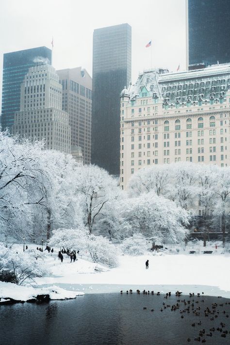 New York Neige, Best Nyc Hotels, Xmas In New York, Wedding Lodge, Times Square Ball Drop, New York Christmas Aesthetic, New York Snow, Christmas Aesthetics, Christmas Nyc