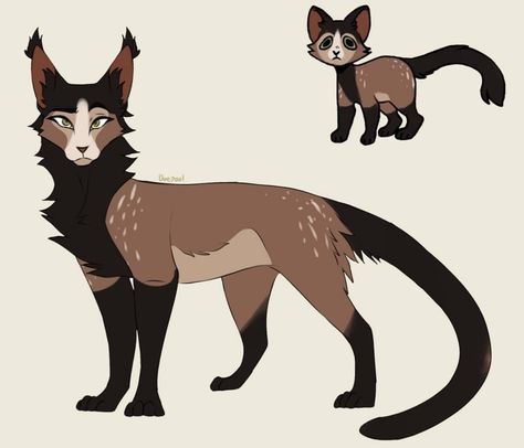 Morph Ideas Warrior Cats, Warrior Cat Oc Art, Warrior Cat Oc Ideas, Warrior Cat Morph Ideas, Warrior Cats Ocs, Warrior Cats Morph Ideas, Warrior Cats Oc Design, Warrior Cat Ocs, Cat Oc Art