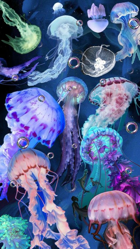 Jellyfish Art, Beautiful Sea Creatures, Iphone Wallpaper Themes, Ocean Creatures, Cute Wallpaper Backgrounds, Pics Art, Sea Animals, Scenery Wallpaper, Wallpaper Iphone Cute