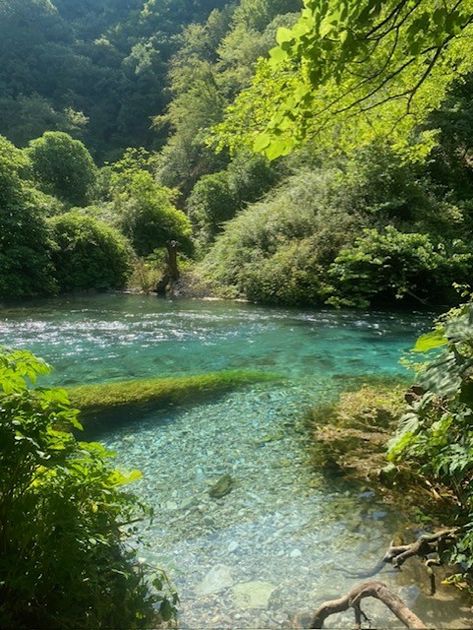 Dive into the serenity of nature's embrace with this captivating image of a crystal blue river winding through lush greenery. Lose yourself in the tranquil beauty of flowing waters and verdant landscapes. 🌿💧#NaturePhotography #River #ForestScenes River Pics, Aesthetic River, Lush Aesthetic, River Aesthetic, Branch Frame, Streams Of Water, Water Aesthetic, Water Nature, River Landscape