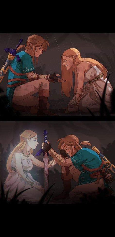 Botw Zelda, Legend Of Zelda Memes, Zelda Funny, Zelda Botw, Hyrule Warriors, Link Zelda, 1000 Years, Zelda Art, Legend Of Zelda Breath