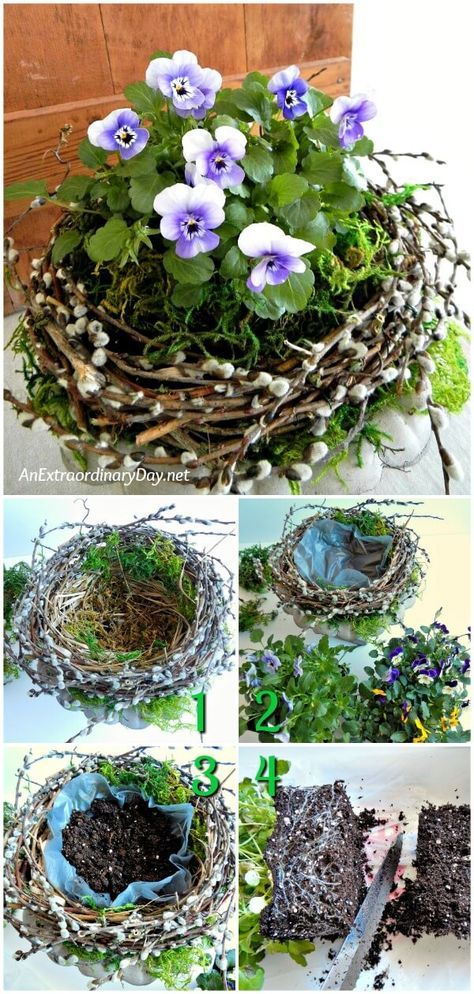 Diy – Velikonoce, Landscaping Simple, Plants Growing, House Landscaping, Front House, Spring Easter Decor, Container Flowers, Deco Floral, Natural Home Decor