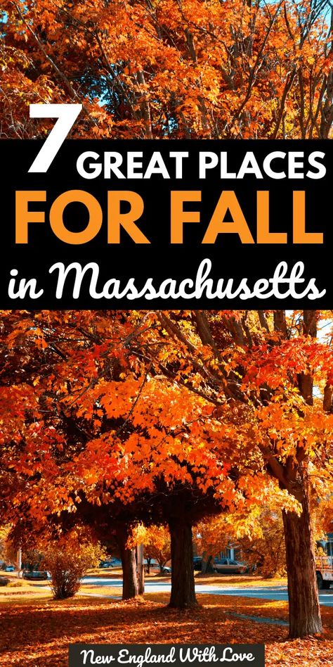 Fall Fun Ideas, Massachusetts Fall, Fall Foliage Trips, Fall Foliage Road Trips, Apple Orchards, Massachusetts Travel, New England Road Trip, Fall Road Trip, Stunning Scenery